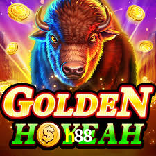 Live Casino h88